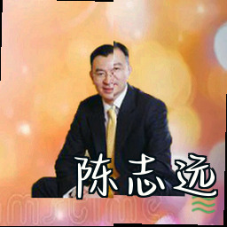 陈志远